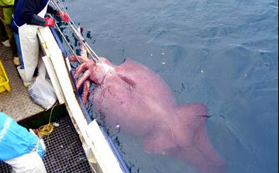 Колоссальный Колоссальный