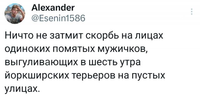 Подборка забавных твитов обо всем