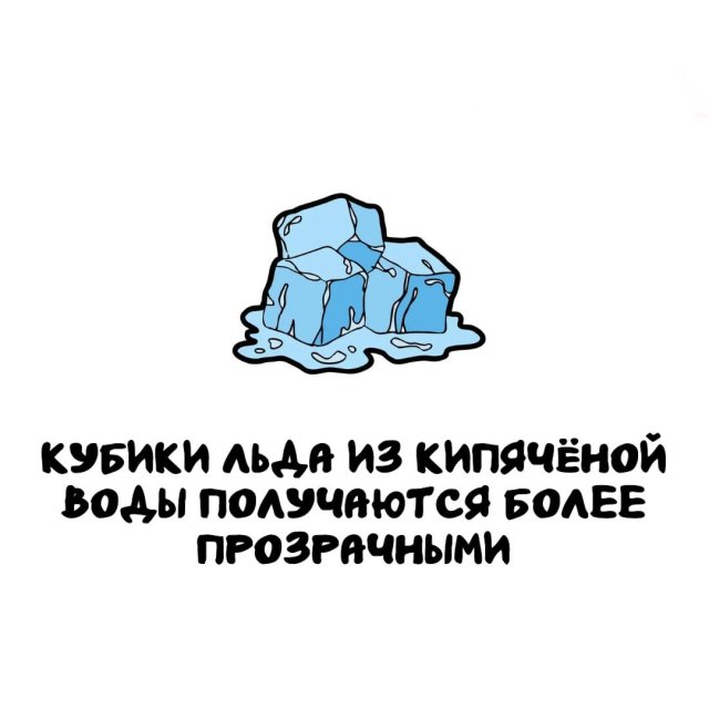 Интересные факты на все случаи жизни