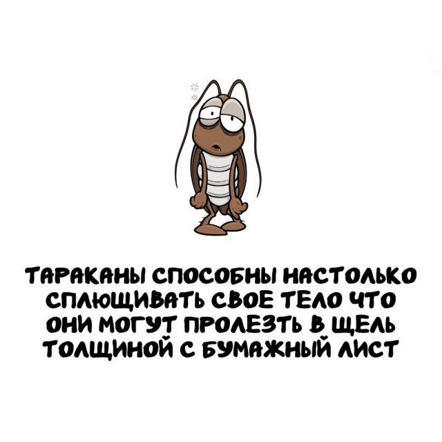 Интересные факты на все случаи жизни