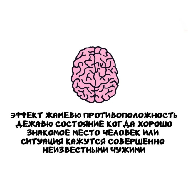 Интересные факты на все случаи жизни
