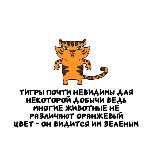 Интересные факты на все случаи жизни