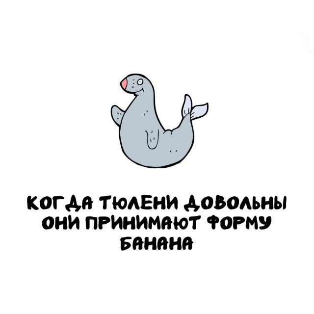 Интересные факты на все случаи жизни