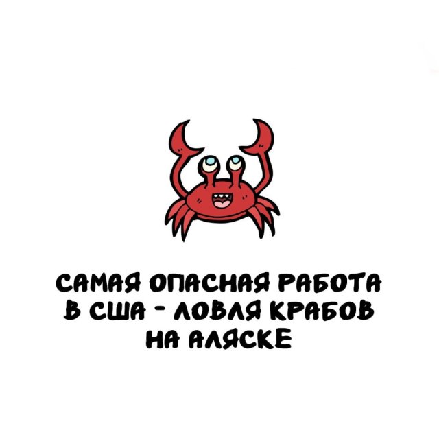 Интересные факты на все случаи жизни