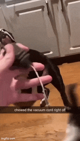 Подборка гифок -  24.11.2025