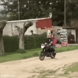 Подборка гифок -  24.11.2025