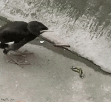 Подборка гифок -  24.11.2025