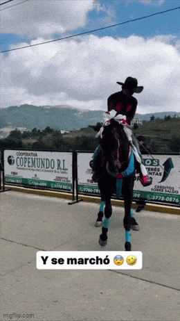 Подборка гифок -  24.11.2025