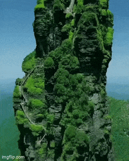 Подборка гифок -  24.11.2025