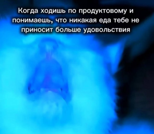 Лучшие шутки и мемы из Сети - 24.11.2025