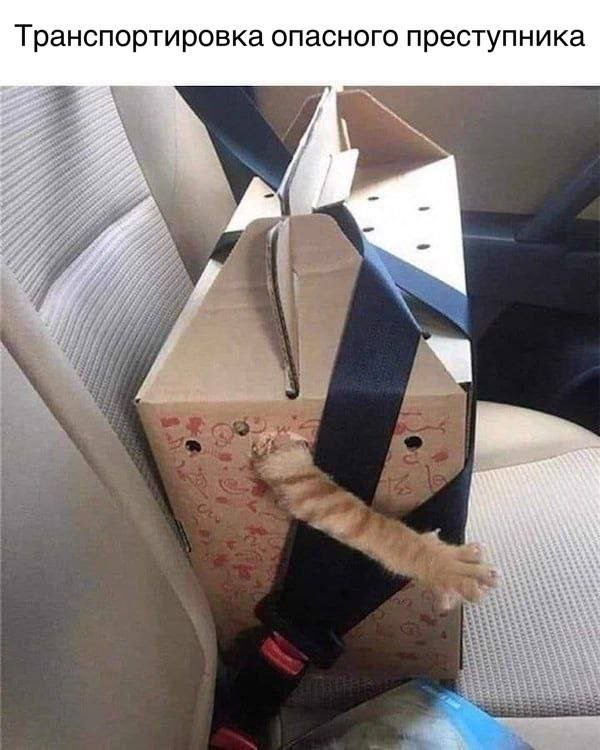 Лучшие шутки и мемы из Сети - 24.11.2025