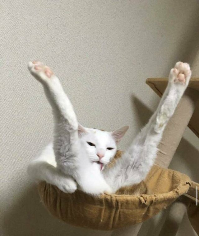 Подборка картинок. Вечерний выпуск - 21511.2025