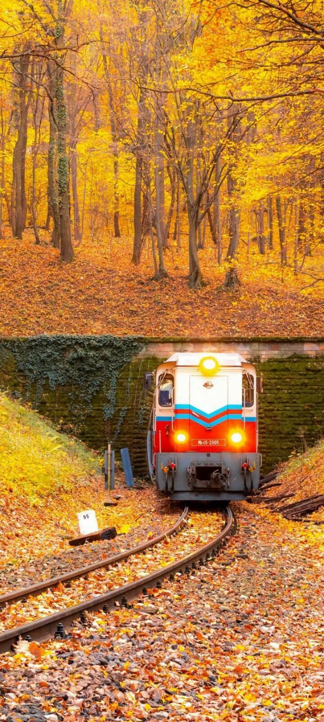 Подборка картинок. Вечерний выпуск - 21511.2025