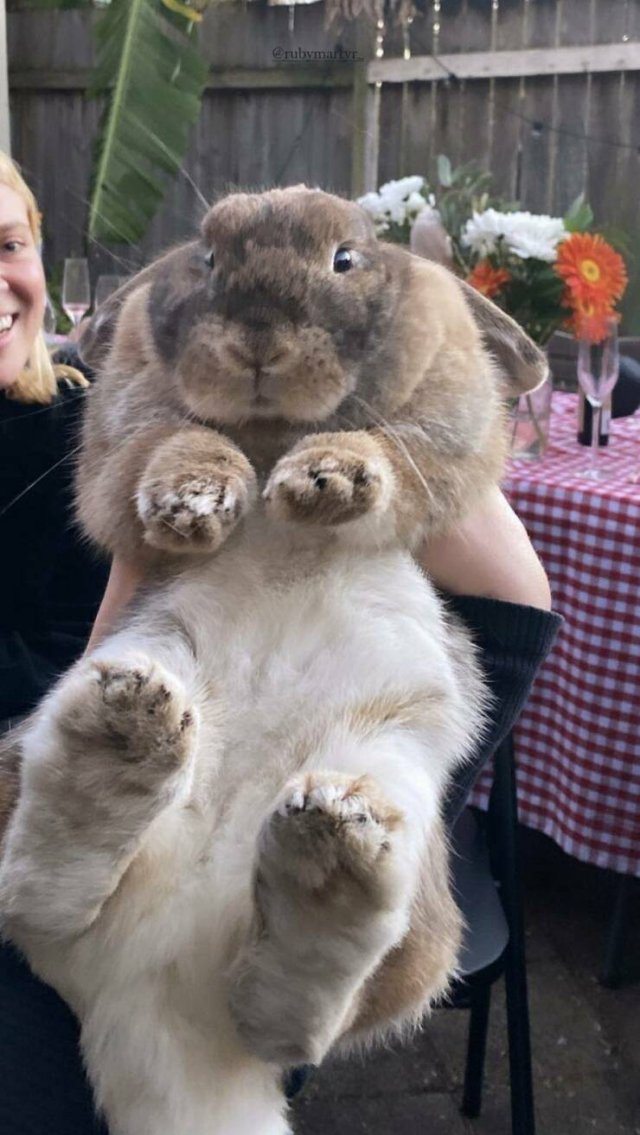 Подборка картинок. Вечерний выпуск - 21511.2025