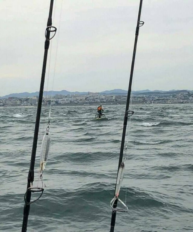 Подборка картинок. Вечерний выпуск - 21511.2025