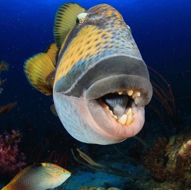 Жестокое нападение на россиянина произошло на Мальдивах