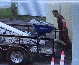 Подборка гифок -  25.11.2025