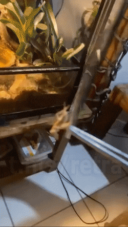 Подборка гифок -  25.11.2025