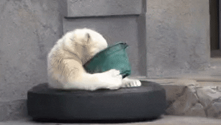 Подборка гифок -  25.11.2025