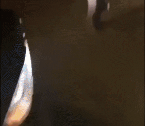 Подборка гифок -  25.11.2025