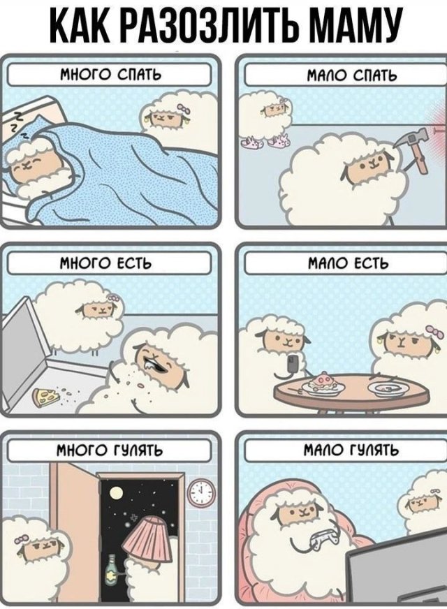 Лучшие шутки и мемы из Сети - 25.11.2025