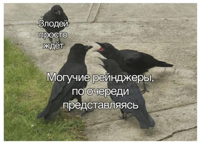 Лучшие шутки и мемы из Сети - 25.11.2025