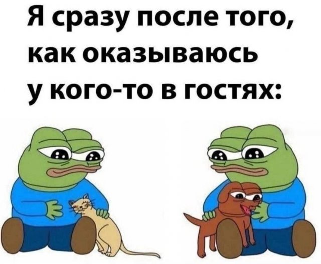 Лучшие шутки и мемы из Сети - 25.11.2025