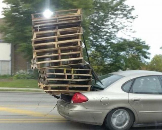 Подборка картинок. Вечерний выпуск - 25.11.2025