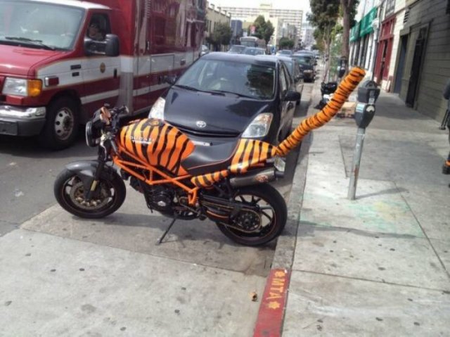 Подборка картинок. Вечерний выпуск - 25.11.2025