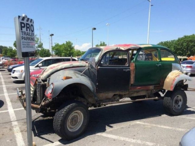 Подборка картинок. Вечерний выпуск - 25.11.2025