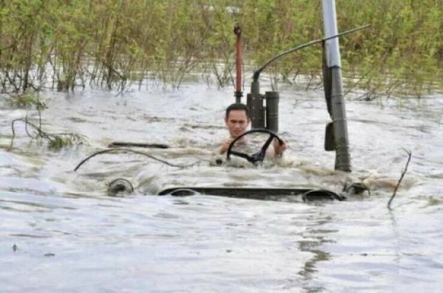 Подборка картинок. Вечерний выпуск - 25.11.2025