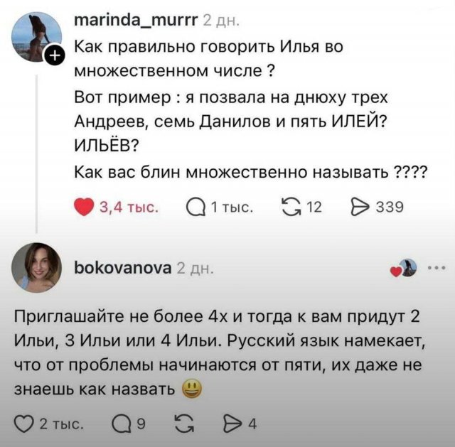 Подборка картинок. Вечерний выпуск - 25.11.2025