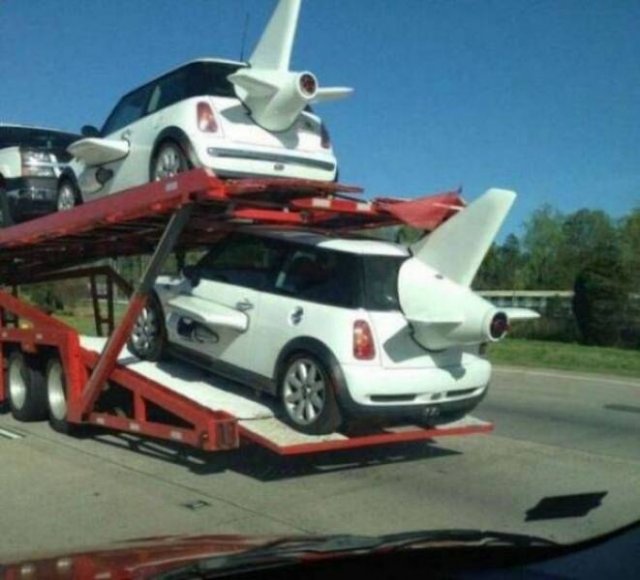 Подборка картинок. Вечерний выпуск - 25.11.2025