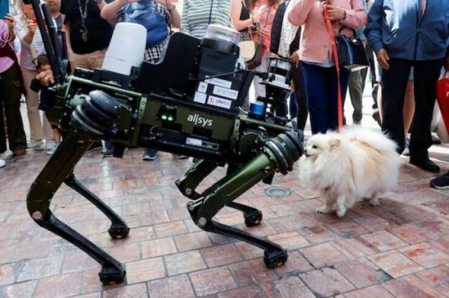 Подборка картинок. Вечерний выпуск - 25.11.2025