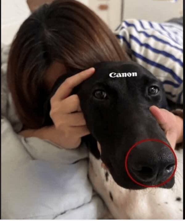 Подборка картинок. Вечерний выпуск - 25.11.2025