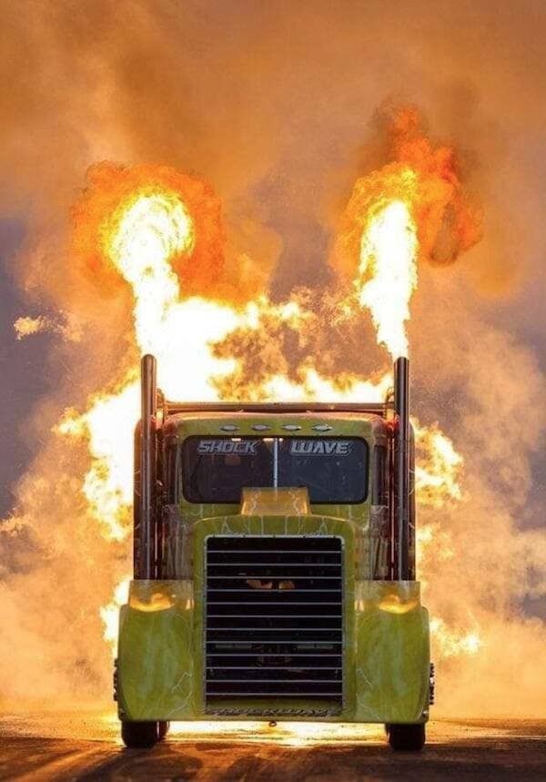 Подборка картинок. Вечерний выпуск - 25.11.2025