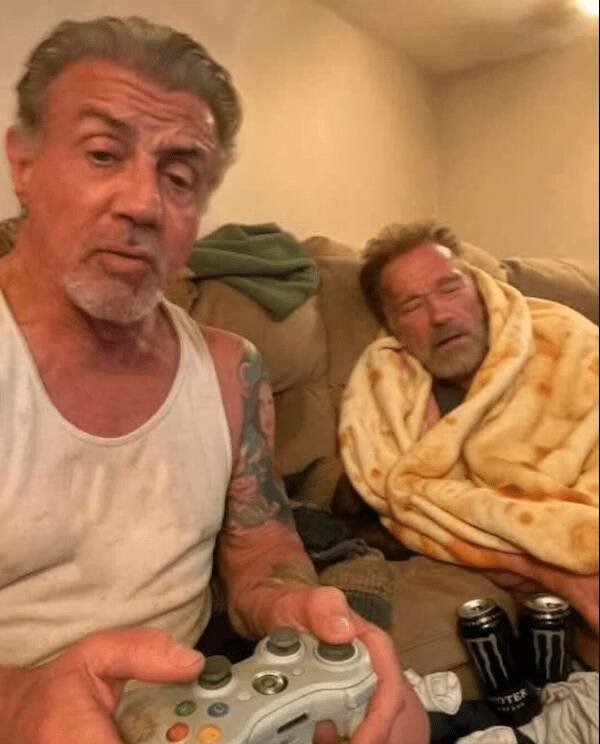 Подборка картинок. Вечерний выпуск - 25.11.2025