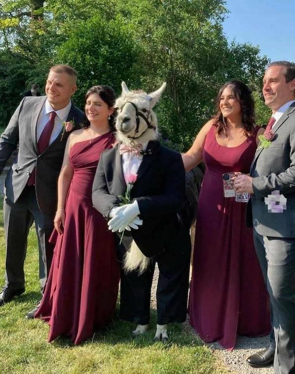 Подборка картинок. Вечерний выпуск - 25.11.2025