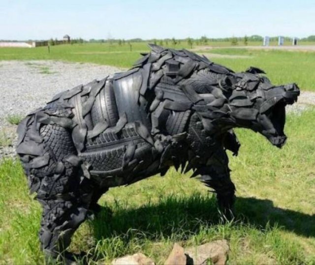 Подборка картинок. Вечерний выпуск - 25.11.2025