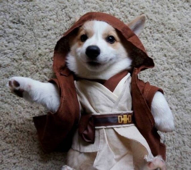 Подборка картинок. Вечерний выпуск - 25.11.2025