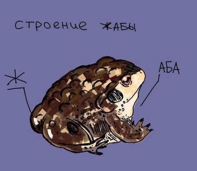 Смешные мемы - 26.11.2025