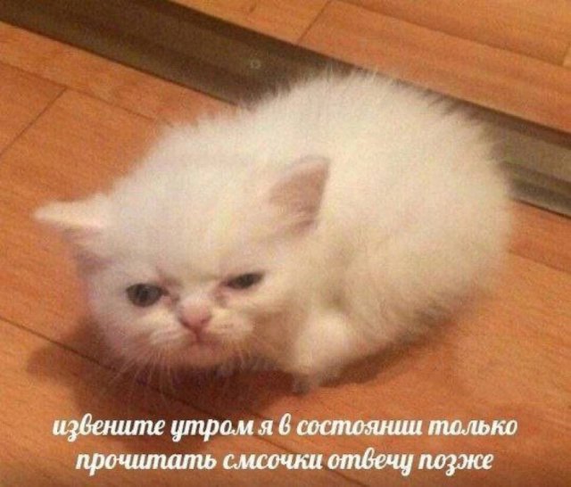 Смешные мемы - 26.11.2025