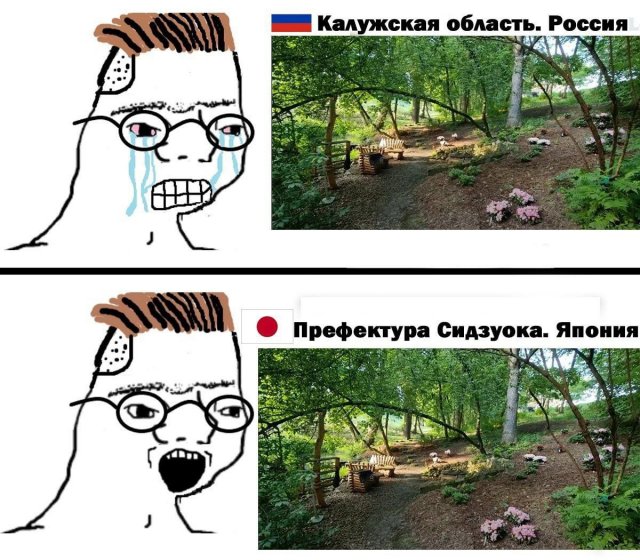 Лучшие шутки и мемы из Сети - 26.11.2025