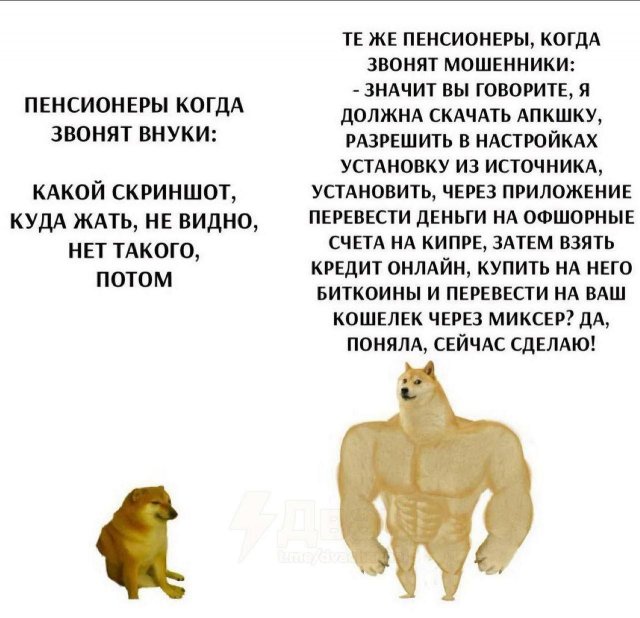 Лучшие шутки и мемы из Сети - 26.11.2025