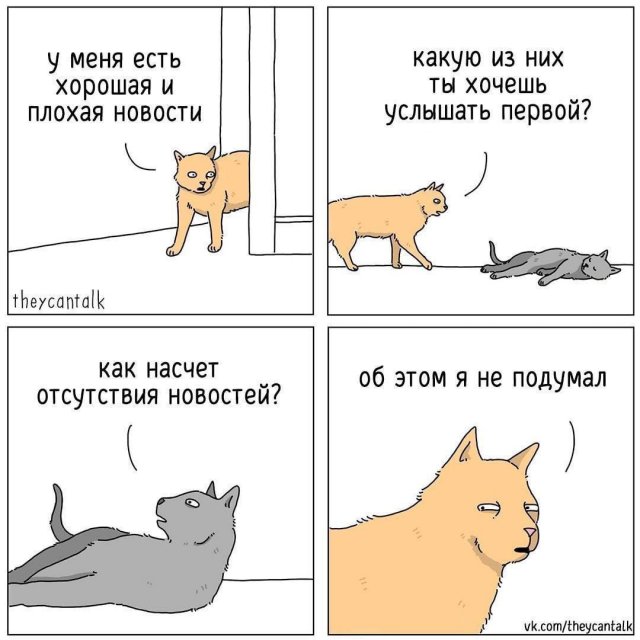 Лучшие шутки и мемы из Сети - 26.11.2025