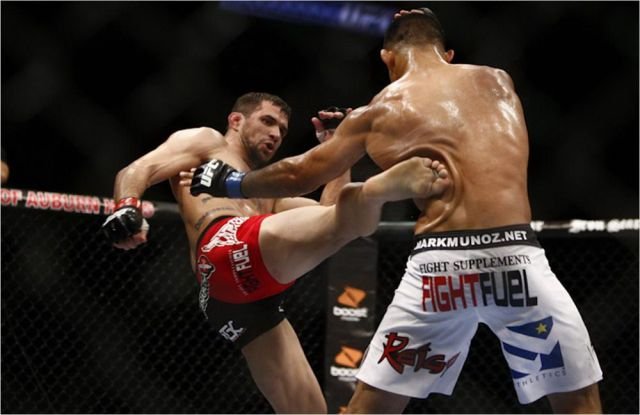 Подборка картинок. Вечерний выпуск - 26.11.2025