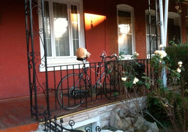 Подборка картинок. Вечерний выпуск - 26.11.2025