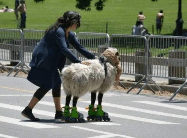 Подборка картинок. Вечерний выпуск - 26.11.2025