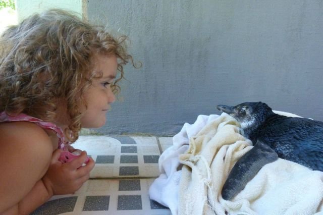 Подборка картинок. Вечерний выпуск - 26.11.2025