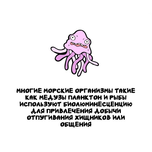 Интересные факты на все случаи жизни